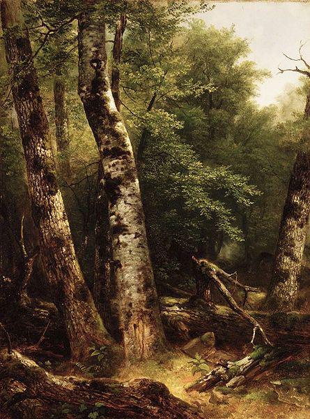 Asher Brown Durand Landscape (Birch and Oaks) oil painting image